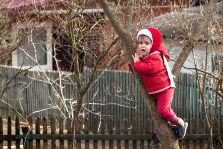 A little charming girl in red dressed up on a tree between two branches 2018の写真素材