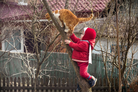 A little girl in red dressed up on a tree in the garden, along with an ore cat 2018の写真素材