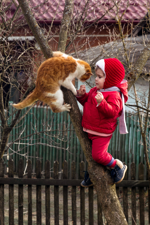 A little girl in red dressed up on a tree in the garden, along with an ore cat 2018の写真素材