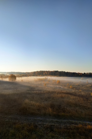 morning field meeting with fog and sun 2018の写真素材