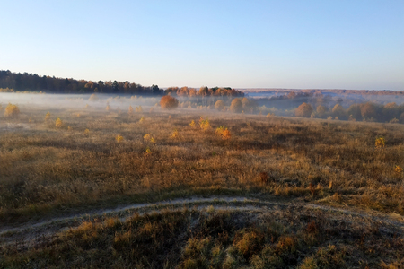morning field meeting with fog and sun 2018の写真素材