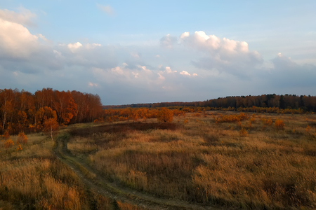 Evening sky against autumn forest and field 2018の写真素材