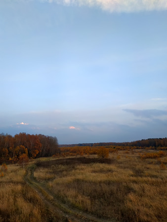 Evening sky against autumn forest and field 2018の写真素材