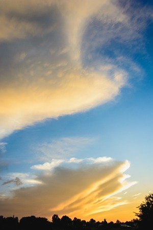 the sky, whose clouds are stained in blue and yellow, rises above the field 2019