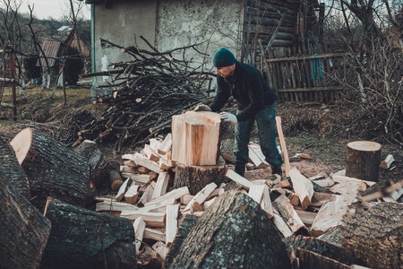 A strong man harvests firewood for the winter in the back yard of the house cutting the big and sturdy grass tree 2019の写真素材