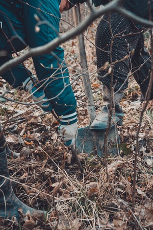 Man plants a small tree, hands holds shovel digs the ground, nature, environment and ecology concept. 2019の写真素材