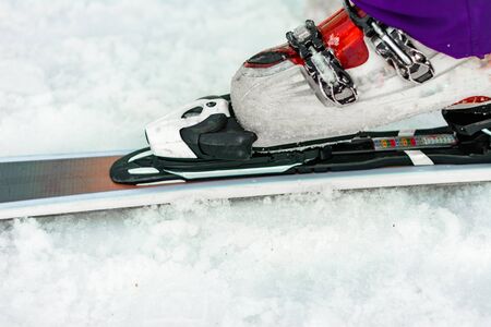 The athlete skier demonstrates a set of skis and boots on the leg. 2019の写真素材