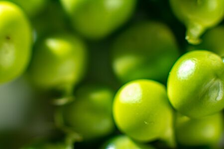 Close-up texture of green peas. 2019の写真素材