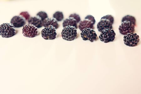 Raspberry sweet black garden on a white background.の写真素材
