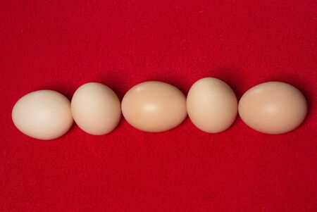 Whole eggs with set in a row on red background. 2019