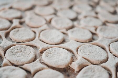 Rolled dough with sliced circles for dumplings, texture.2020の写真素材