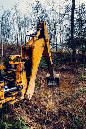 The excavator works in the forest in clearing the forest. 2020