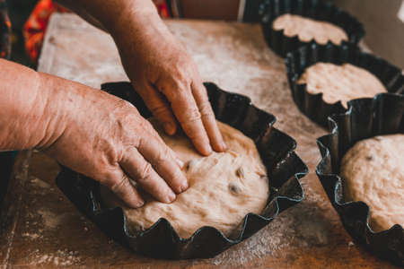 Woman kneads and shapes fresh bread into molds. Bread with raisins, sweet, smeared with chicken yolk...