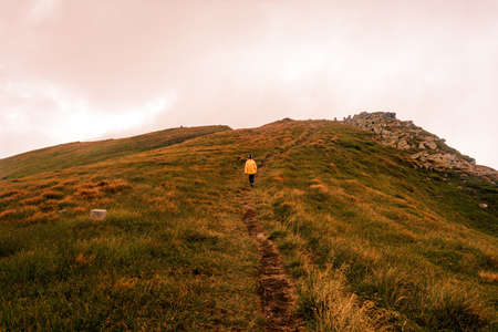 Summer Carpathians, tourists on top of the mountain of the Montenegrin ridge, children conquer the mountains, travel the Carpathians. 2020の写真素材