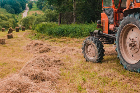 Old red tractor in the field during the haymaking season, pressing hay on bales, forage harvesting....