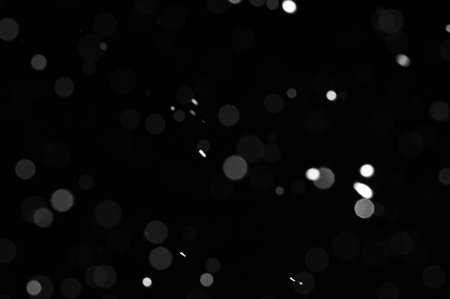 Bokeh of white snow on a black background. Snowfall - new design element.の写真素材
