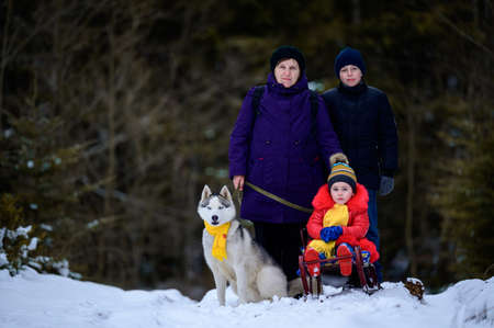 Woman with grandchildren in the woods on a walk, pet on a leash in the woods.newの写真素材