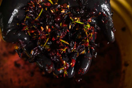 Winemaking at home, squeezing grape juice by hand, the natural fermentation process. newの写真素材