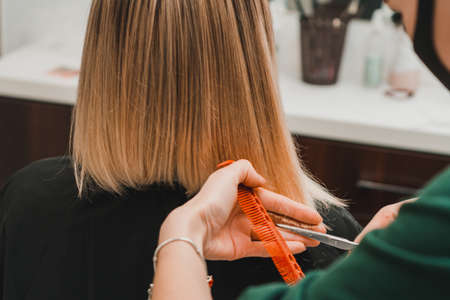 Hair care, hairdresser cuts the cut ends of hair and straightens the length, the work of hairdressers during the global pandemic.newの写真素材