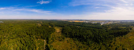 Local deforestation, aerial deforestation areas, Ukrainian forests and their destruction. new