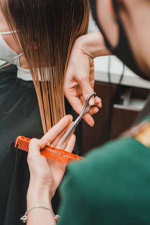 The hairdresser cuts the cut ends of the hair, wet hair in the barbershop, hair care during the quarantine period. newの写真素材