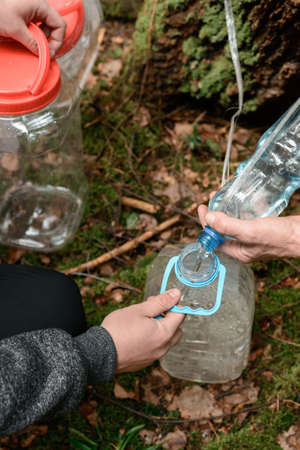 Useful spring birch sap, harvesting birch drip method in the woods, men take away the bottles with the finished juice.の写真素材