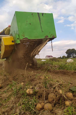 Tractor with suspended equipment for potato harvesting, organically grown potatoes without...