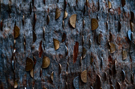 The bark of the tree is covered with coins, an ancient magical tradition of happiness, tourism in Ukraine.の写真素材