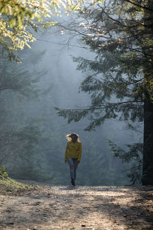 Woman makes a light jog in the misty forest in the morning, dawn and foggy morning in the woods, woman in bright clothes.の写真素材