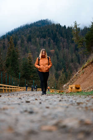 Walking on forest roads, a man walking alone on a forest road against the backdrop of a mountain top with fog, the road is fenced.の写真素材