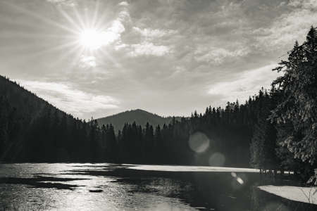 Lake and clear water, reflection of the sky and trees in the water, lake and evergreen forest around.の写真素材