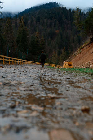 Walking on forest roads, a man walking alone on a forest road against the backdrop of a mountain top with fog, the road is fenced.の写真素材