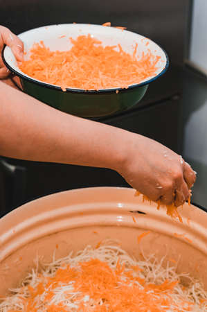 Adding carrots to cabbage, the process of cooking sauerkraut, finely chopped cabbage and carrots, healthy food for the intestines.の写真素材
