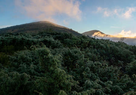 Landscapes of the Ukrainian Carpathians, a trip to the ridges of the mountains in Ukraine.の写真素材