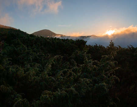 Landscapes of the Ukrainian Carpathians, a trip to the mountain ranges in Ukraine, the horizon is...
