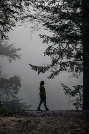 A woman like a ghost walks through the misty forest, the fear and mystery of the fog in the woods,...