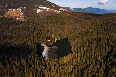 Lake Synevyr framed by a pine forest in the Carpathians, drone view, Synevyr Polyana National Nature Park, ice on the lake.の写真素材