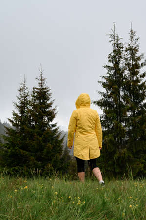 A girl in a yellow jacket walks in the meadow after the rain, a walk and rest in the mountains, a...