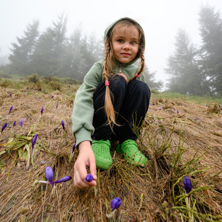 The girl sits and smiles near crocuses, crocuses among dry grass, spring flower in the mountains.の写真素材