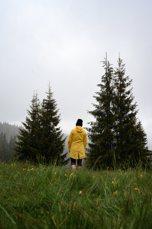A girl in a yellow jacket walks in the meadow after the rain, a walk and rest in the mountains, a hike in the Carpathians.の写真素材