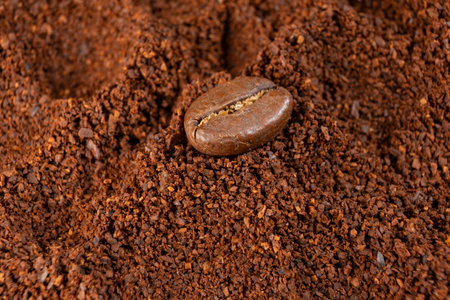 Ground coffee ready for brewing, top view of coffee, one bean lying on ground coffee.の写真素材