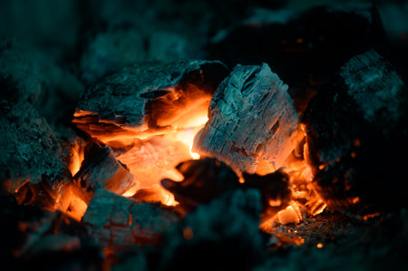 Detailed plan of the combustion chamber in the fireplace, burning wood in the fireplace, the process...
