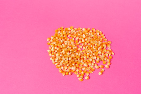 Corn kernels for making popcorn on pink background, copy space and top view.の写真素材