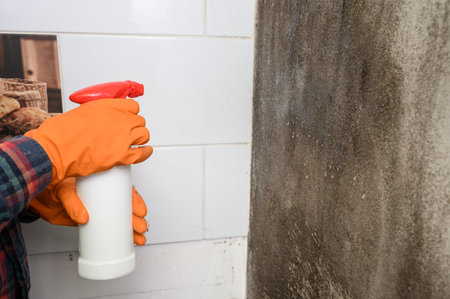 Mold on the wall, a man's hand in a rubber glove sprays a mold remedy on the wall, mold on the wall in the house.の写真素材
