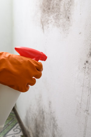 Mold on the wall, a man's hand in a rubber glove sprays a mold remedy on the wall, mold on the wall in the house.の写真素材