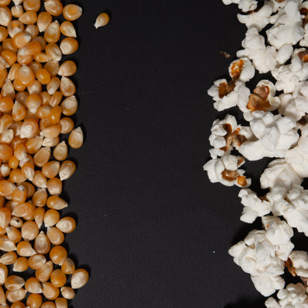 Corn grains and popcorn in two rows on a black background, close-up and copy spaceの写真素材