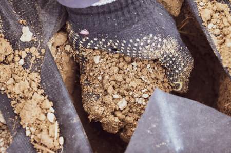 A person picks out excess soil from a hole, the soil is covered with black agrofiber from weeds, a...