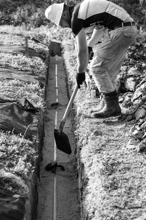 A plumber installs a reinforced orange sewer pipe during site maintenance.の写真素材