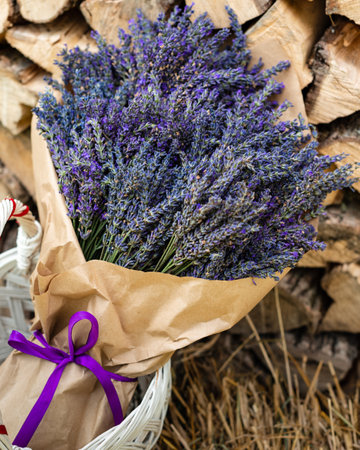 A lush and large bouquet of lavender wrapped in brown paper on a background of firewoodの写真素材