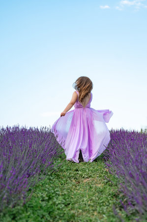 A young girl in a purple long dress runs between the lavender rows on the grass, the clear blue sky in the background.の写真素材